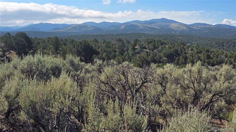 Lot 4296 Renfield Rd, Fort Garland, CO 81133