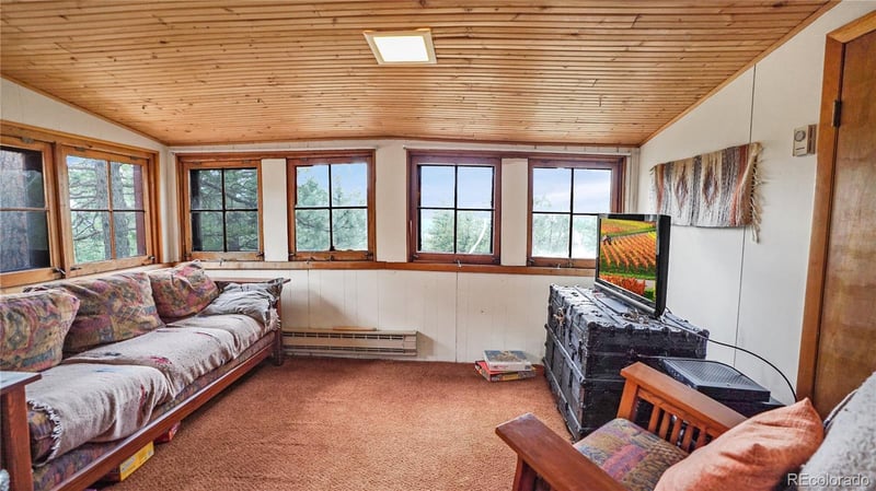 15071 S Delta Ln, Pine, CO 80470
