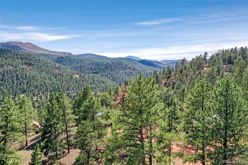 28488 Park Ave, Pine, CO 80470