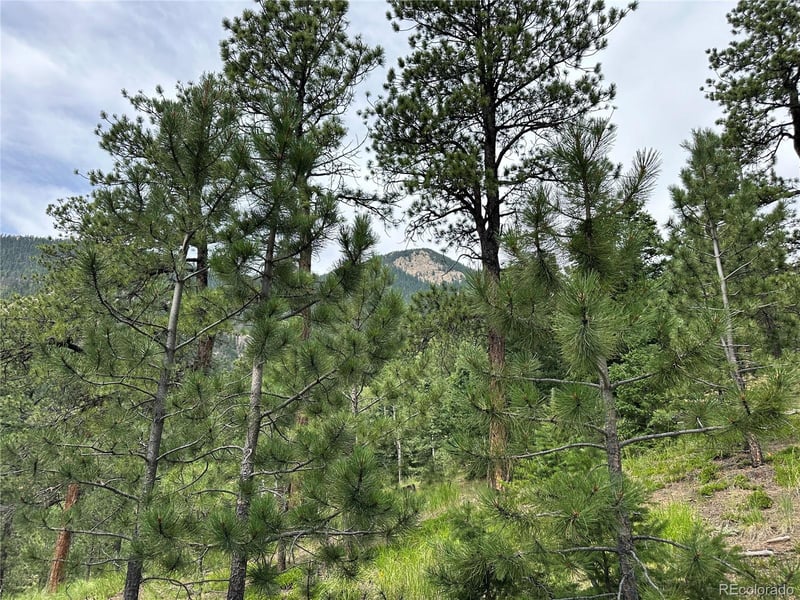 116 Happy Valley, Manitou Springs, CO 80829