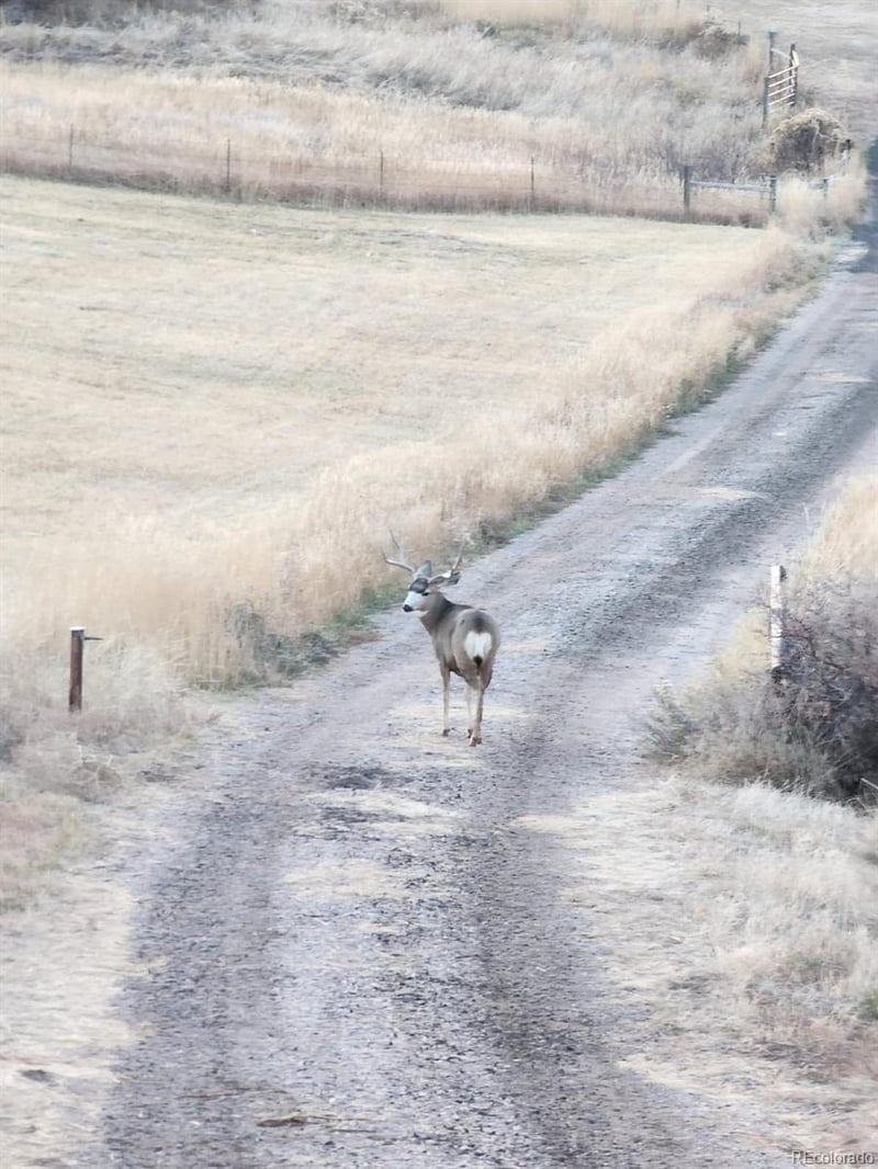 940 County Road 29, Loveland, CO 80537