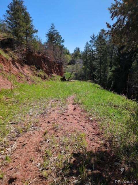 Tbd Rock Creek Mesa Rd, Colorado Springs, CO 80926