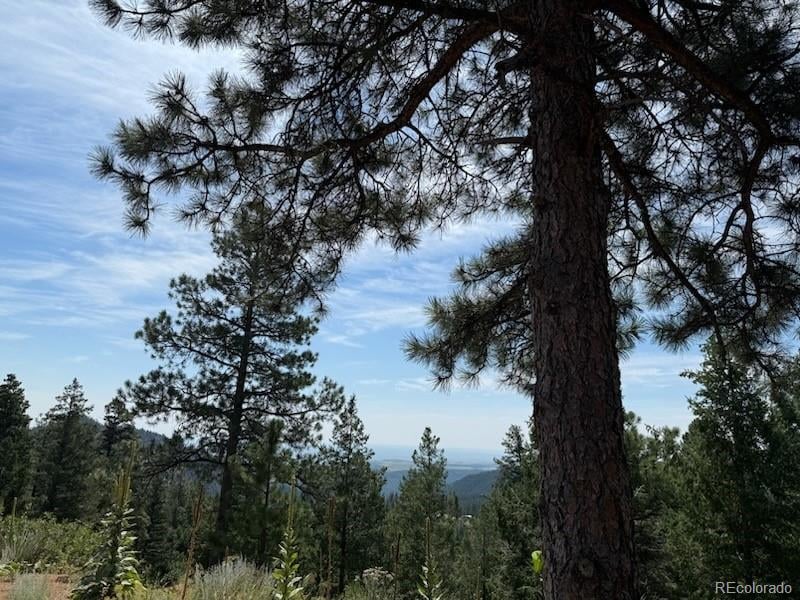 3435 Little Turkey Creek Rd, Colorado Springs, CO 80926