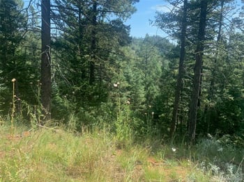 3435 Little Turkey Creek Rd, Colorado Springs, CO 80926