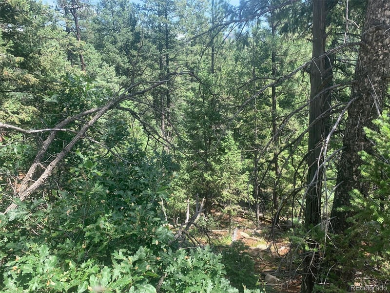 3435 Little Turkey Creek Rd, Colorado Springs, CO 80926