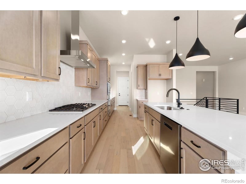 1585 Winter Glow Dr, Windsor, CO 80550