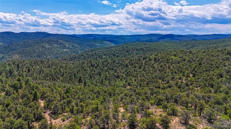 31300 Timber Canyon Rd, Trinidad, CO 81082