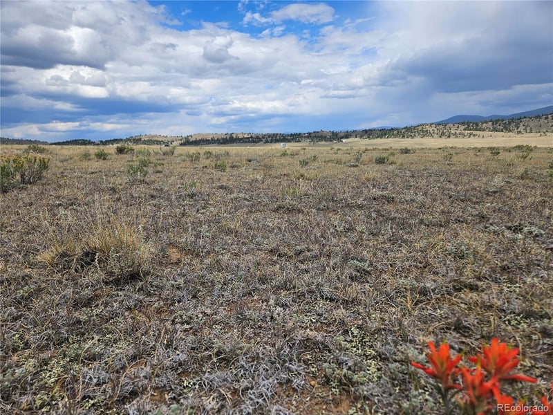 4124 Clear Creek Rd, Hartsel, CO 80449