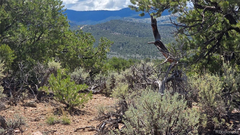 Lot 1615 Dunn Rd, San Luis, CO 81152