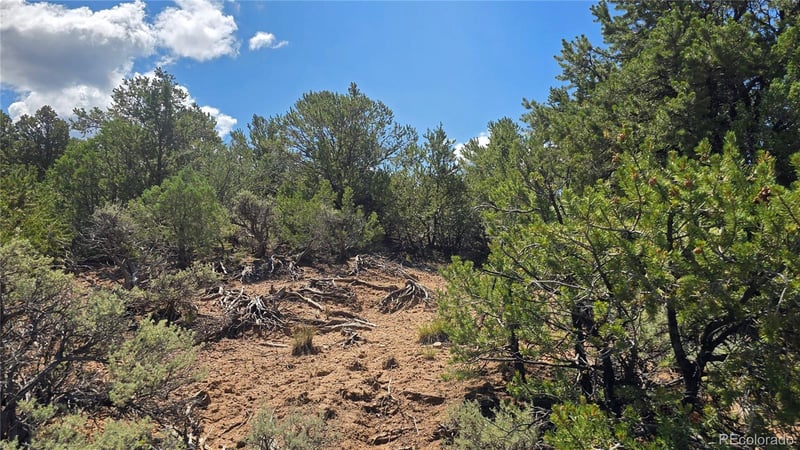 Lot 1615 Dunn Rd, San Luis, CO 81152