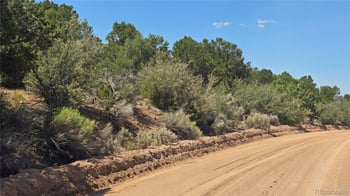 Lot 1615 Dunn Rd, San Luis, CO 81152