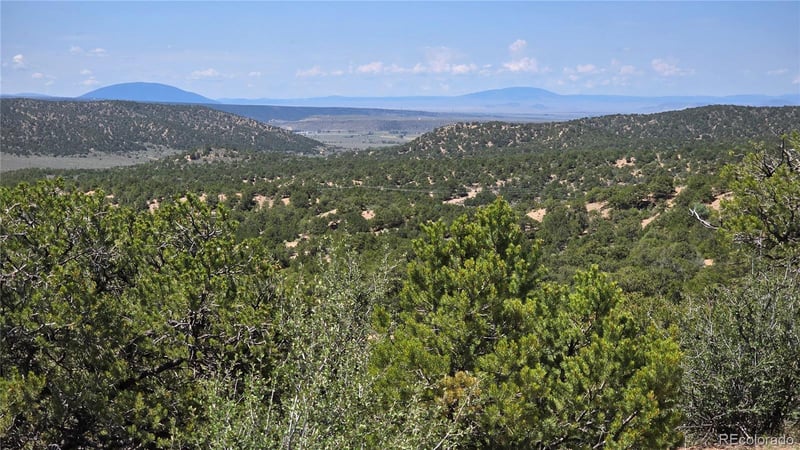 Lot 1615 Dunn Rd, San Luis, CO 81152