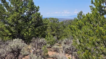 Lot 1615 Dunn Rd, San Luis, CO 81152