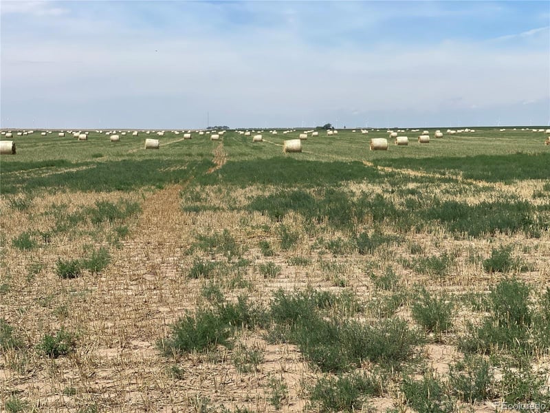 County Road 33, Genoa, CO 80818