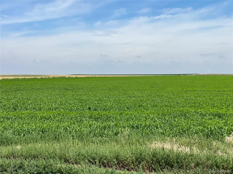 County Road 33, Genoa, CO 80818