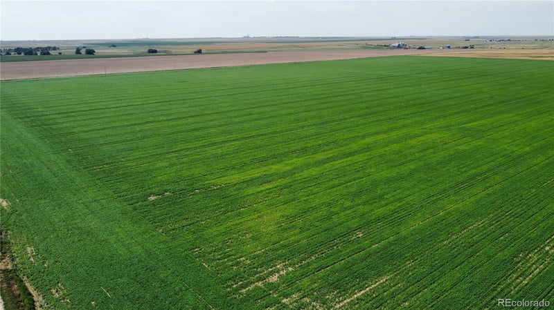 County Road 33, Genoa, CO 80818