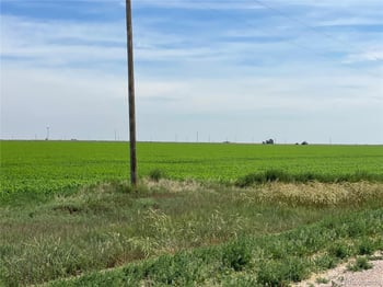 County Road 33, Genoa, CO 80818