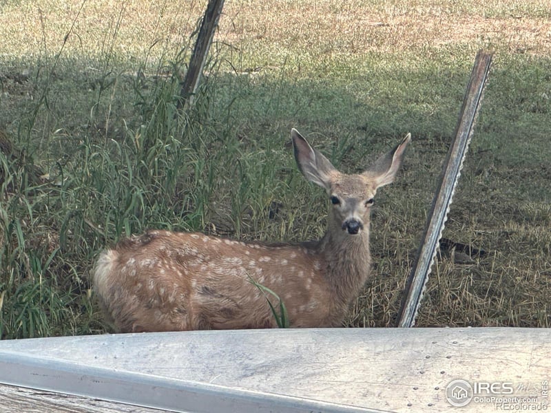 4012 Lakefront Dr, Loveland, CO 80537