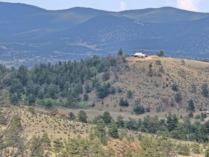 456 Pine Ln, Hartsel, CO 80449