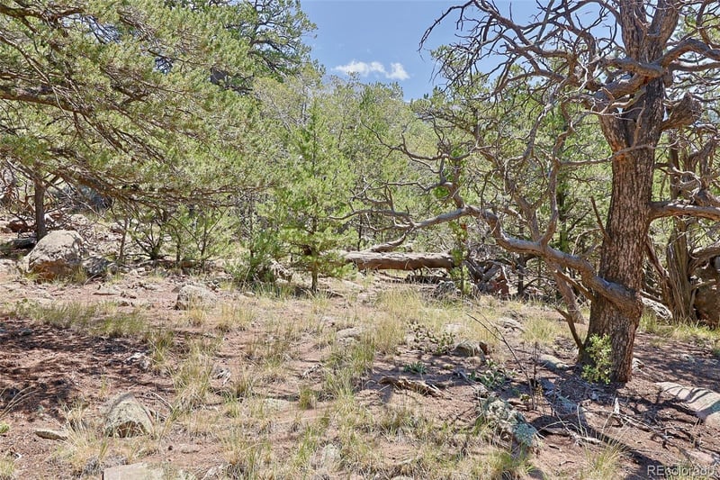 453 Arrowhead Way, Crestone, CO 81131