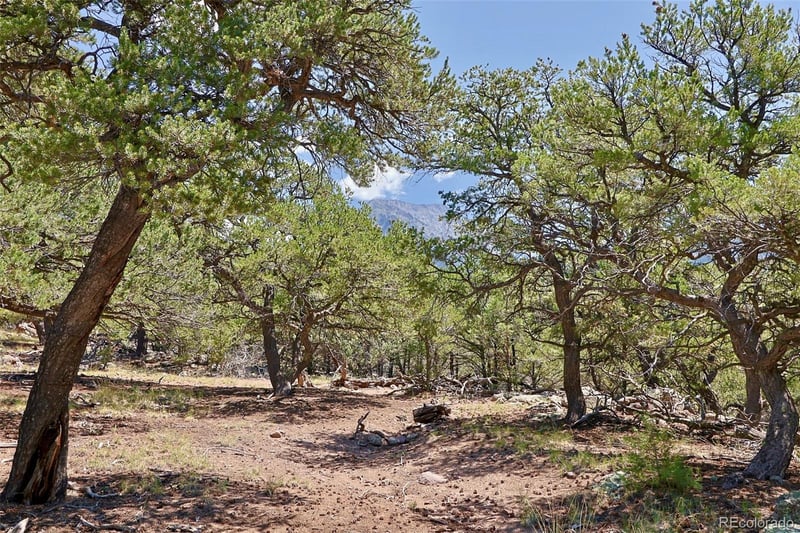 453 Arrowhead Way, Crestone, CO 81131