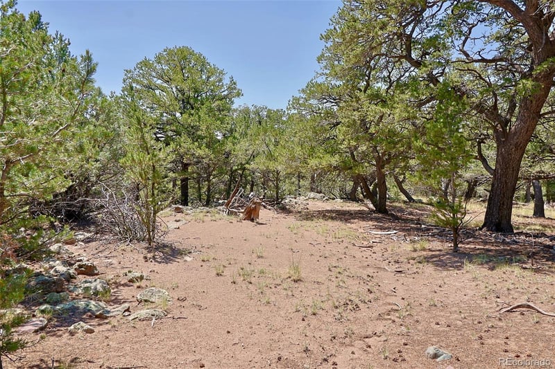 453 Arrowhead Way, Crestone, CO 81131