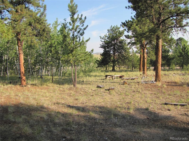 9798 Ranch Rd, Hartsel, CO 80449