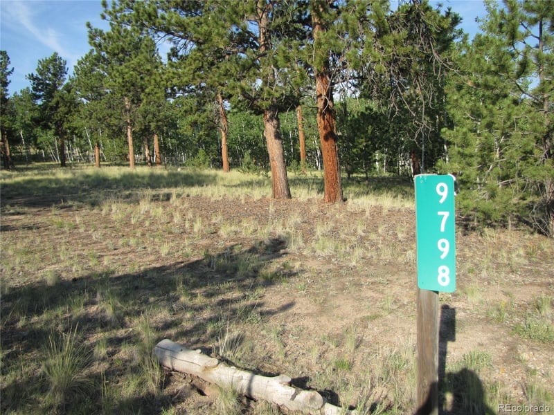 9798 Ranch Rd, Hartsel, CO 80449