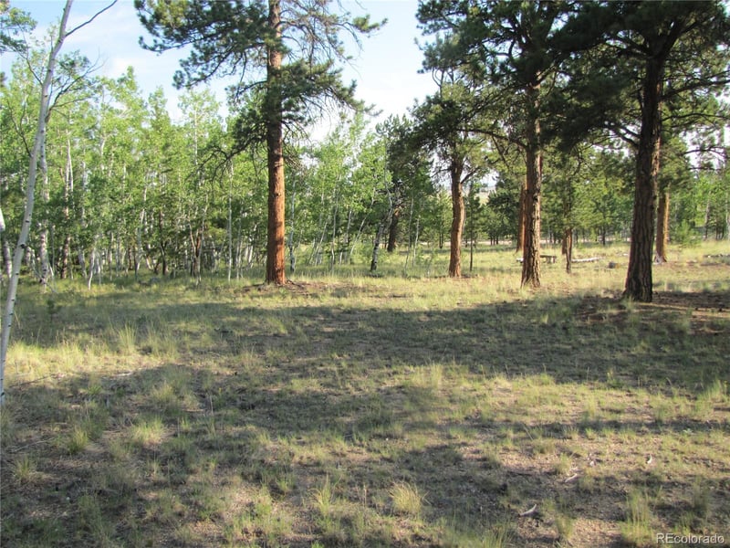 9798 Ranch Rd, Hartsel, CO 80449