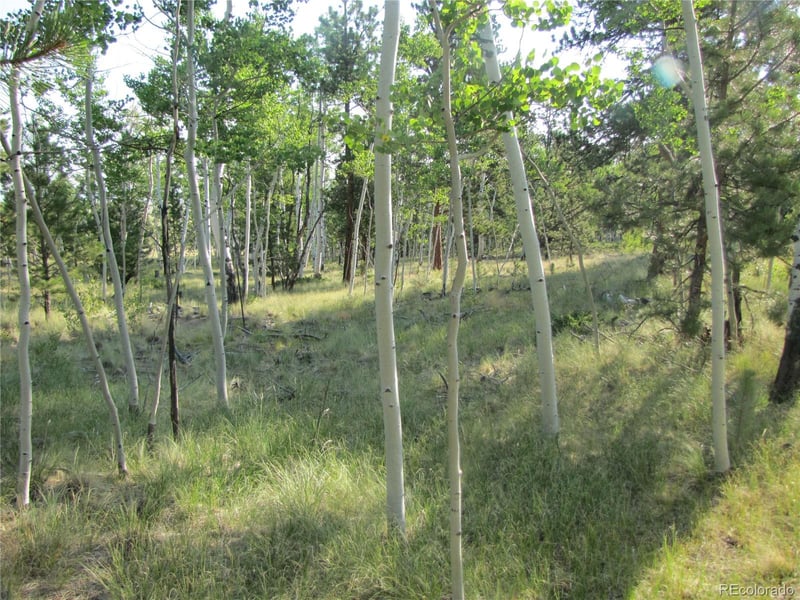 9798 Ranch Rd, Hartsel, CO 80449