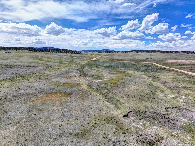 3360 Cahokia Rd, Hartsel, CO 80449