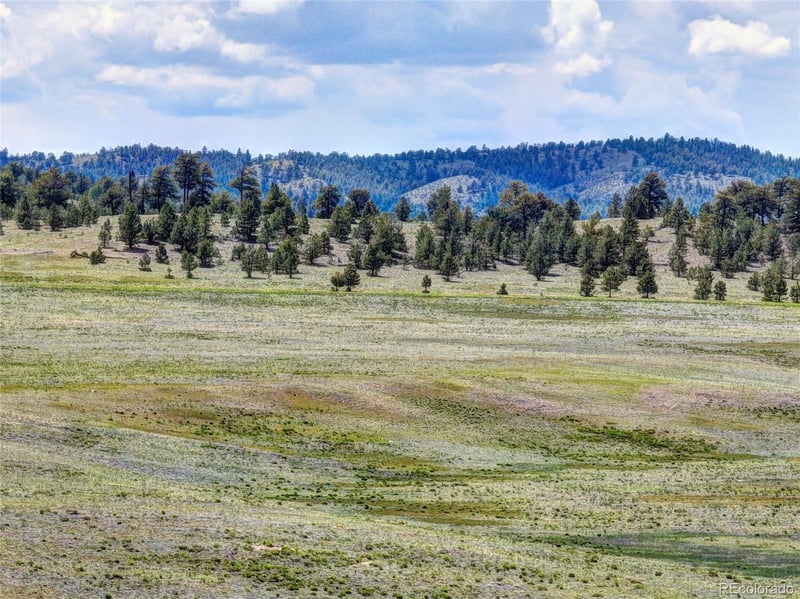 3360 Cahokia Rd, Hartsel, CO 80449