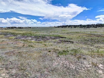 3360 Cahokia Rd, Hartsel, CO 80449