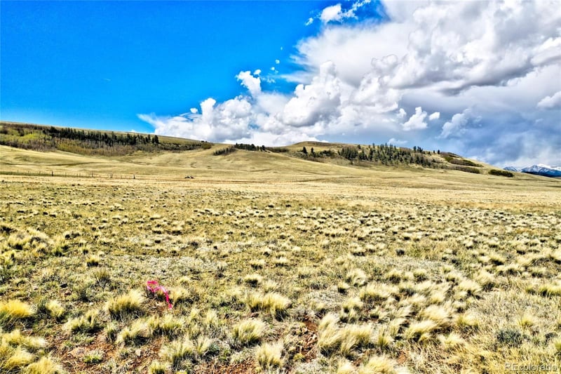 Hard Hickory Trl, Hartsel, CO 80449