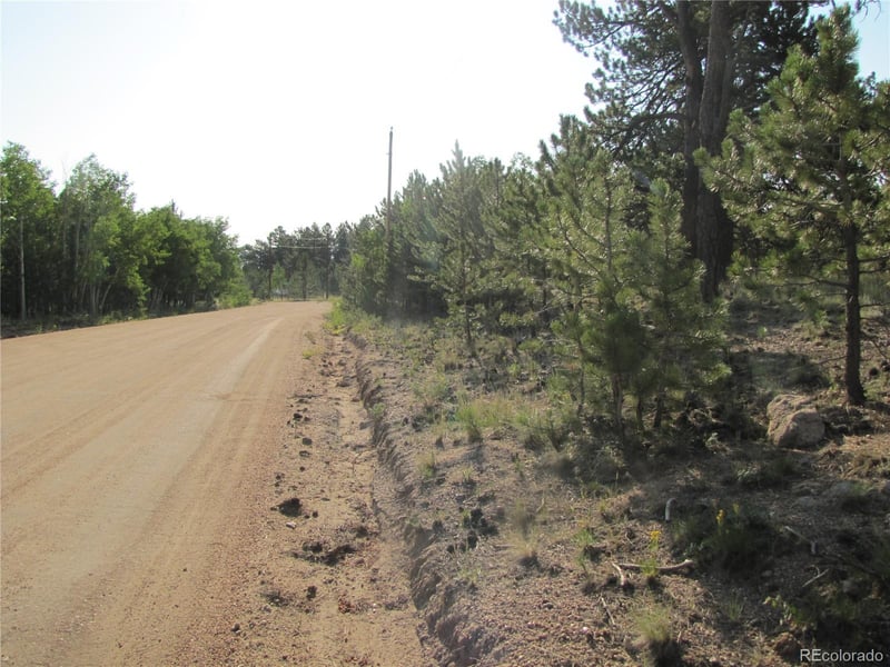 9736 Ranch Rd, Hartsel, CO 80449