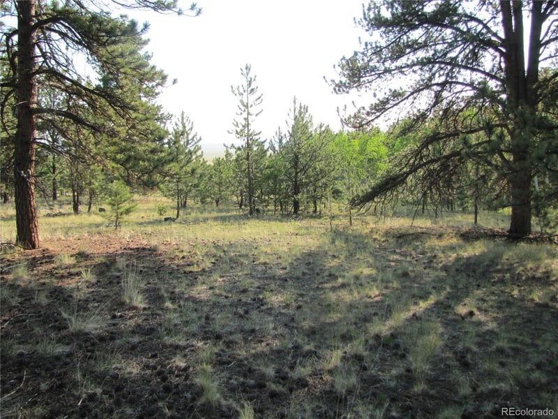9736 Ranch Rd, Hartsel, CO 80449