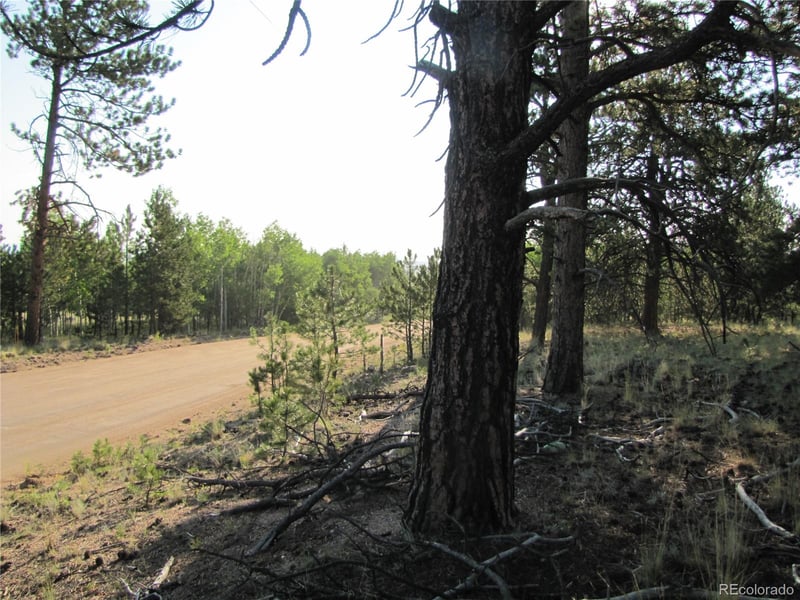 9736 Ranch Rd, Hartsel, CO 80449