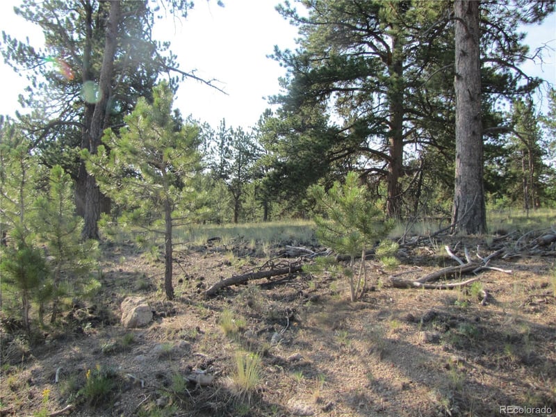 9736 Ranch Rd, Hartsel, CO 80449