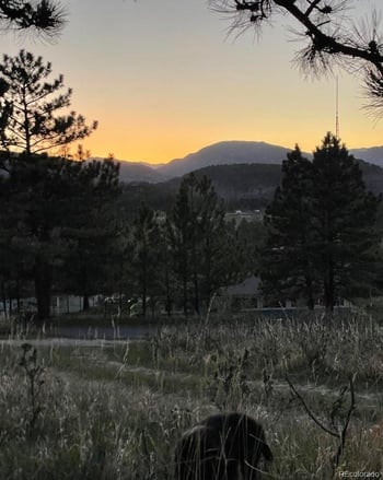 4012 Lakefront Dr, Loveland, CO 80537