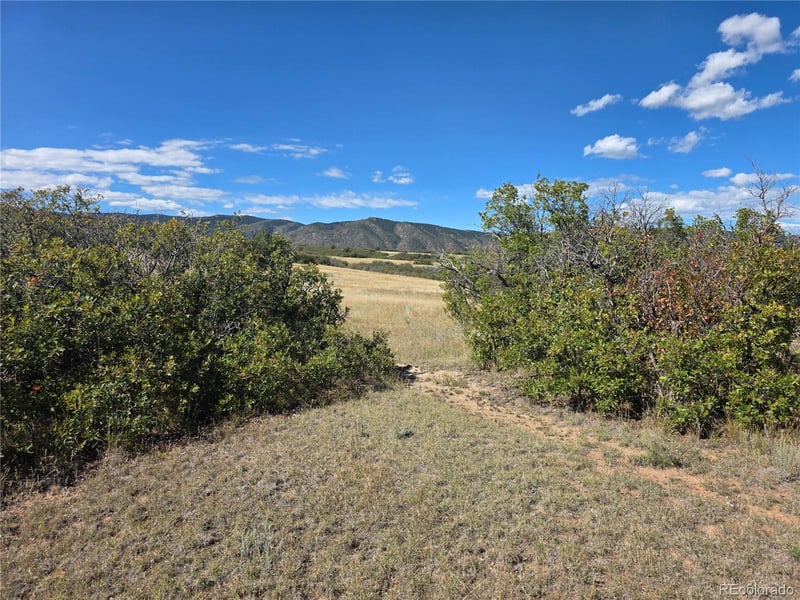 5230 Tall Horse Trl Lot 7, Sedalia, CO 80135
