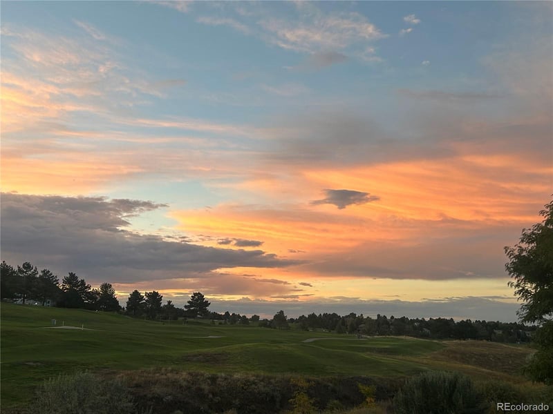 9851 Greensview Cir, Lone Tree, CO 80124