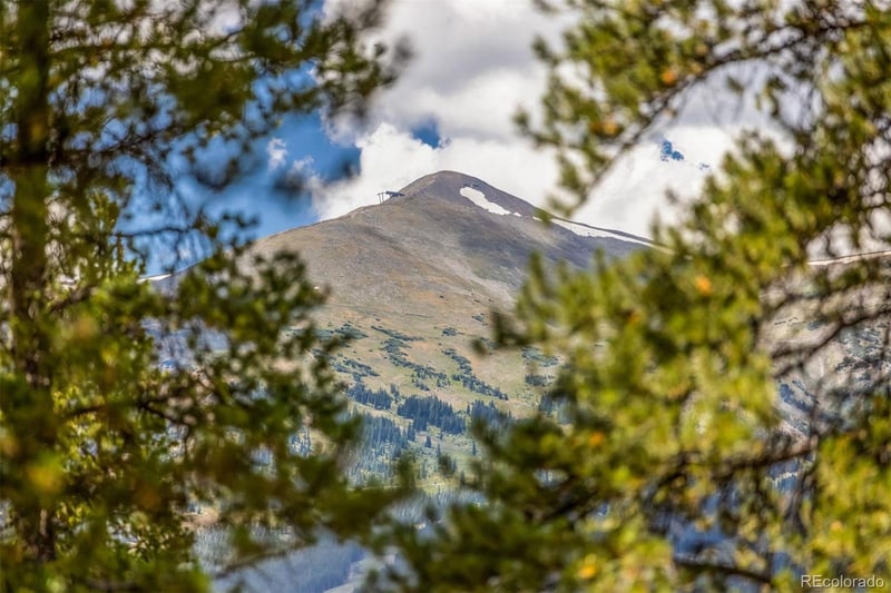 175 Highlands Dr, Breckenridge, CO 80424