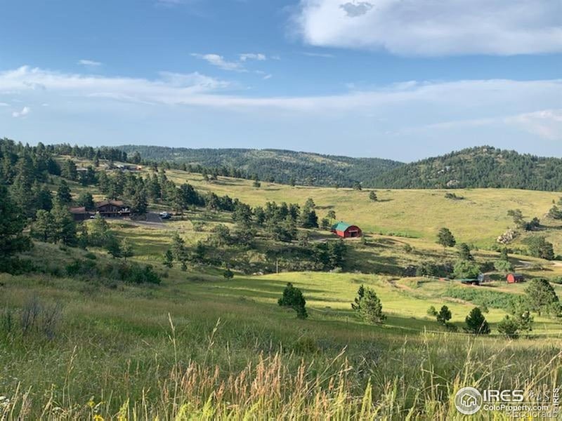 27033 Thea Gulch Rd, Golden, CO 80403