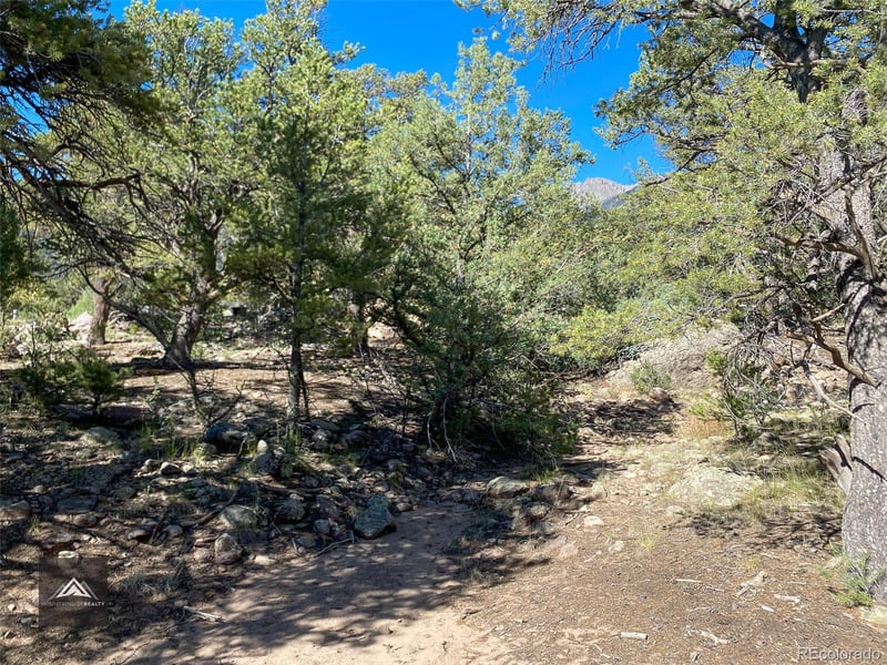 407 Chaparral Way, Crestone, CO 81131