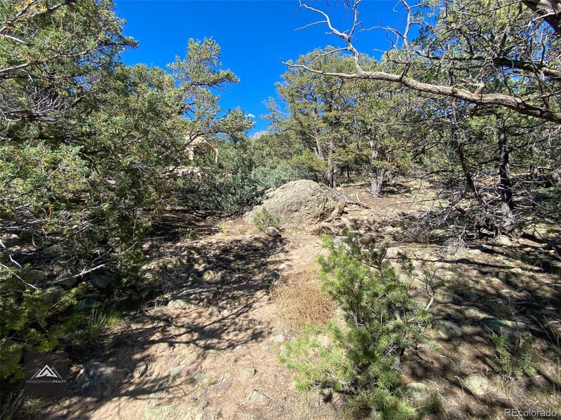 407 Chaparral Way, Crestone, CO 81131