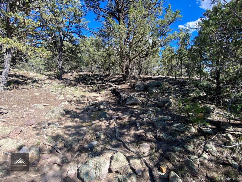 407 Chaparral Way, Crestone, CO 81131