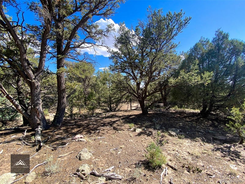 407 Chaparral Way, Crestone, CO 81131