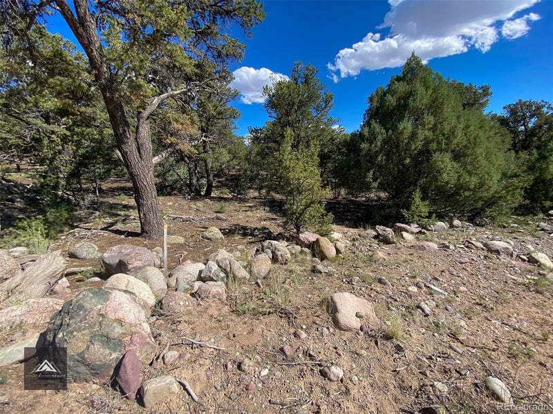 407 Chaparral Way, Crestone, CO 81131