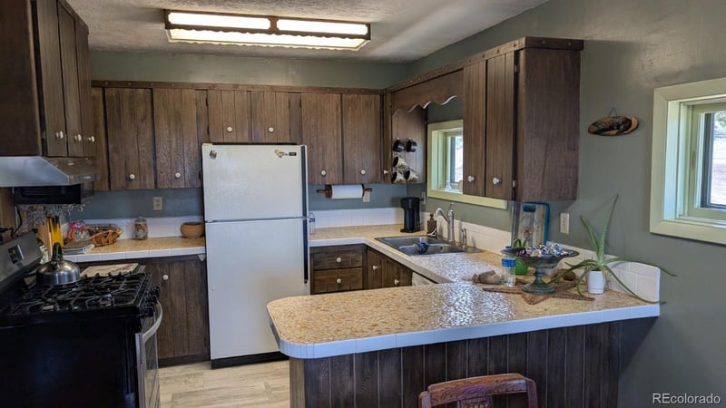 1087 Pulver Rd, Lake George, CO 80827