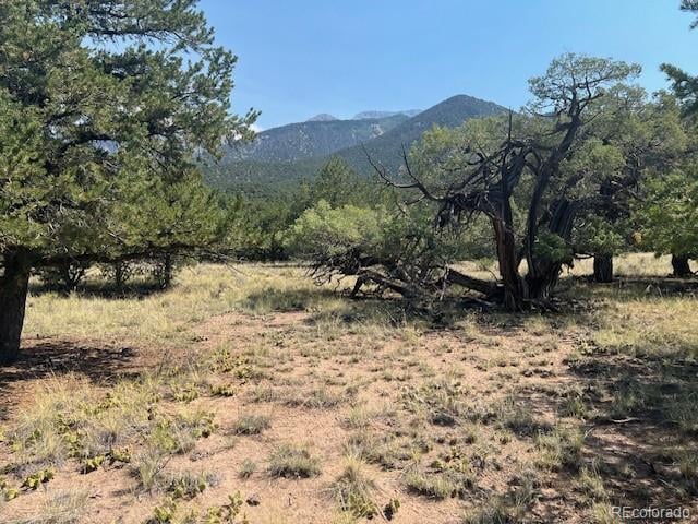 2158 Indian Well Way, Crestone, CO 81131